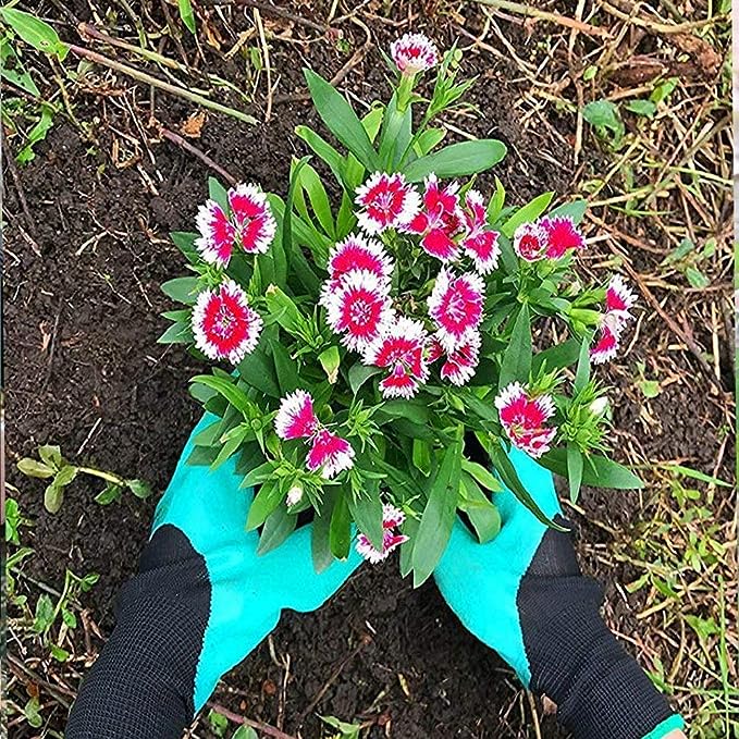 Waterproof Garden Gloves with Claws